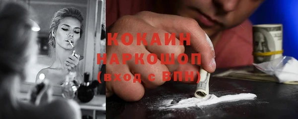 шишки Алексин