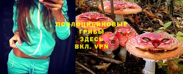 шишки Алексин