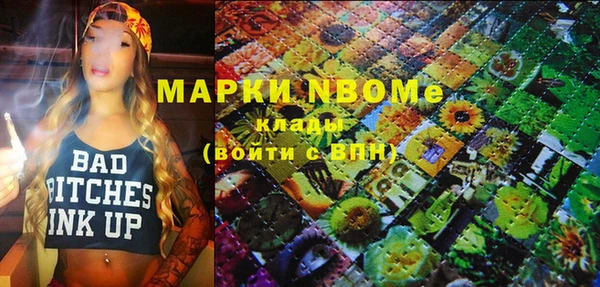 шишки Алексин