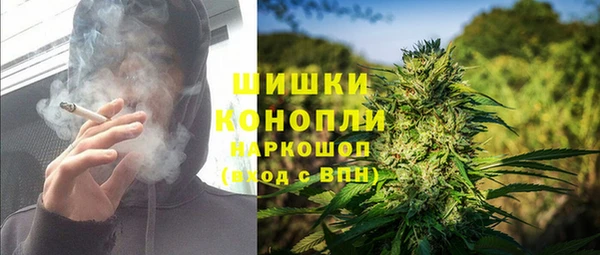 шишки Алексин