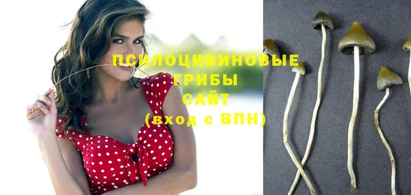 шишки Алексин