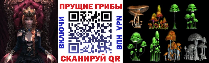 Галлюциногенные грибы Magic Shrooms  Краснознаменск 